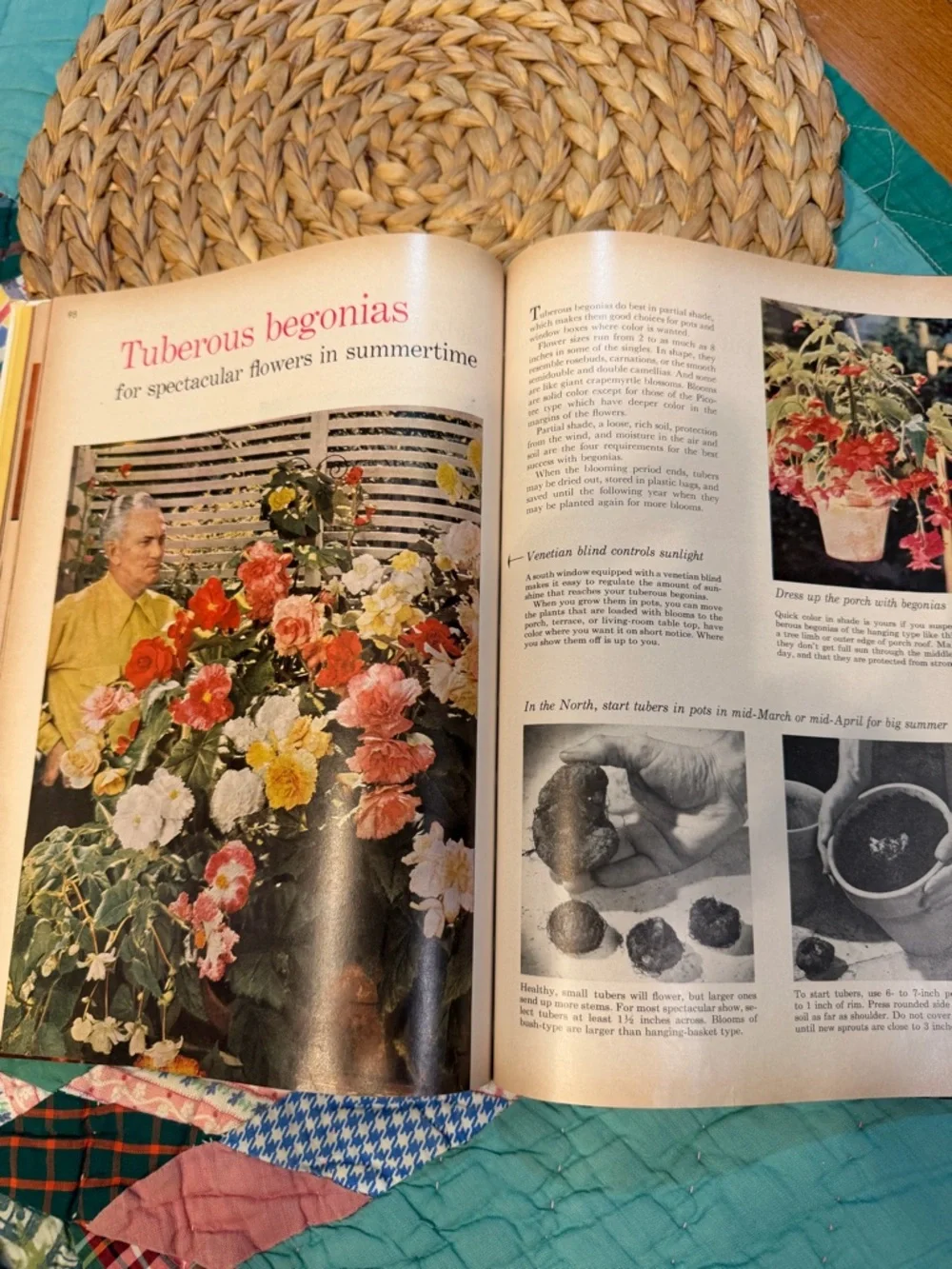 Better Homes And Gardens House Plants Book vintage - Picture 4 of 6